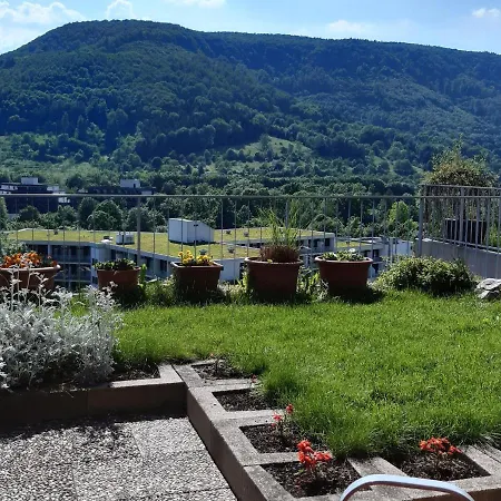 Ferienwohnung Panoramablick *
